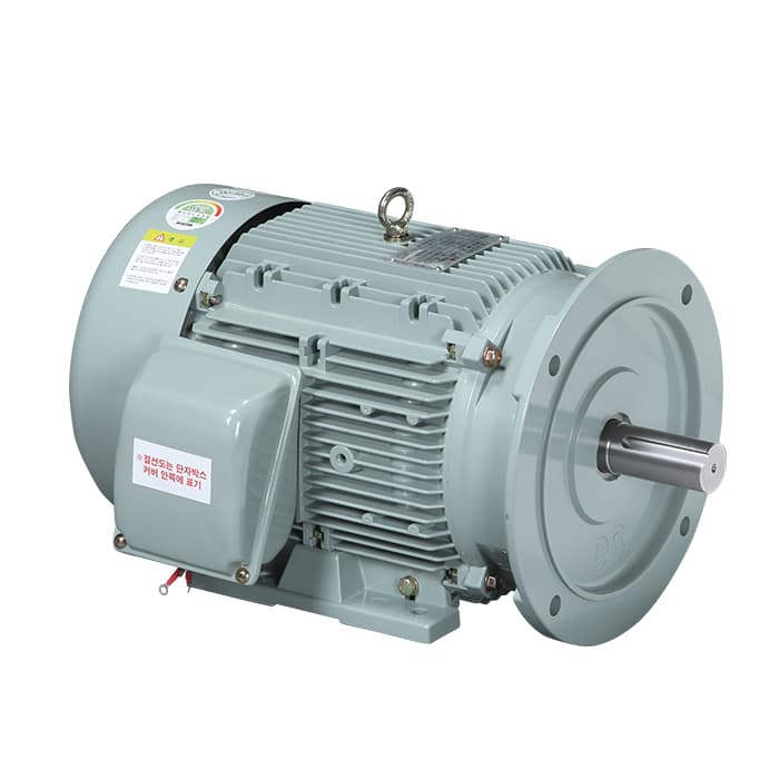 수직형 저압 3상 유도전동기 수직형 저압 3상 유도전동기 - 2